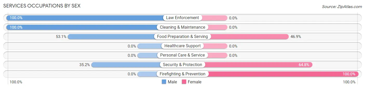 Services Occupations by Sex in Boissevain