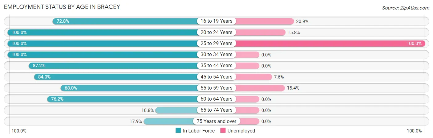 Employment Status by Age in Bracey