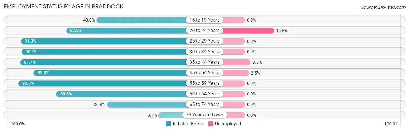 Employment Status by Age in Braddock