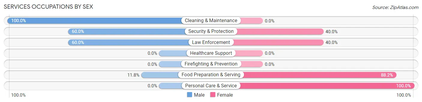 Services Occupations by Sex in Braddock