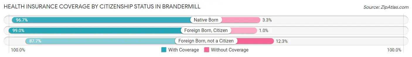 Health Insurance Coverage by Citizenship Status in Brandermill