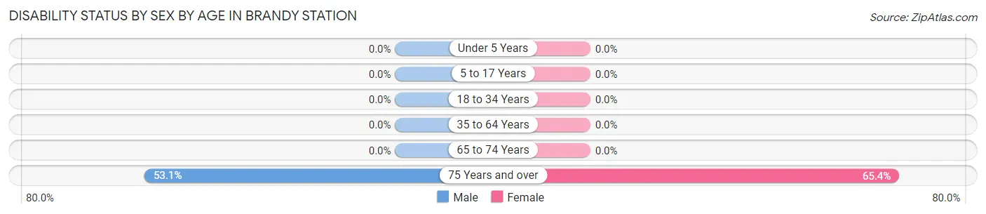 Disability Status by Sex by Age in Brandy Station