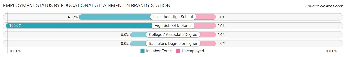 Employment Status by Educational Attainment in Brandy Station
