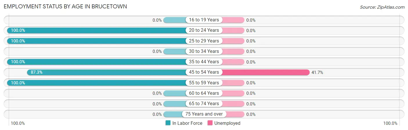 Employment Status by Age in Brucetown