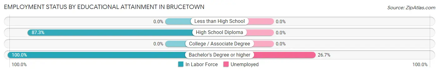 Employment Status by Educational Attainment in Brucetown