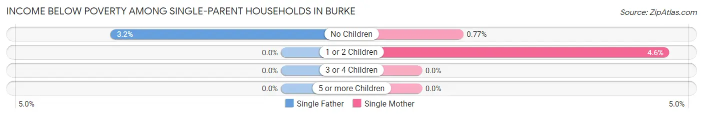 Income Below Poverty Among Single-Parent Households in Burke