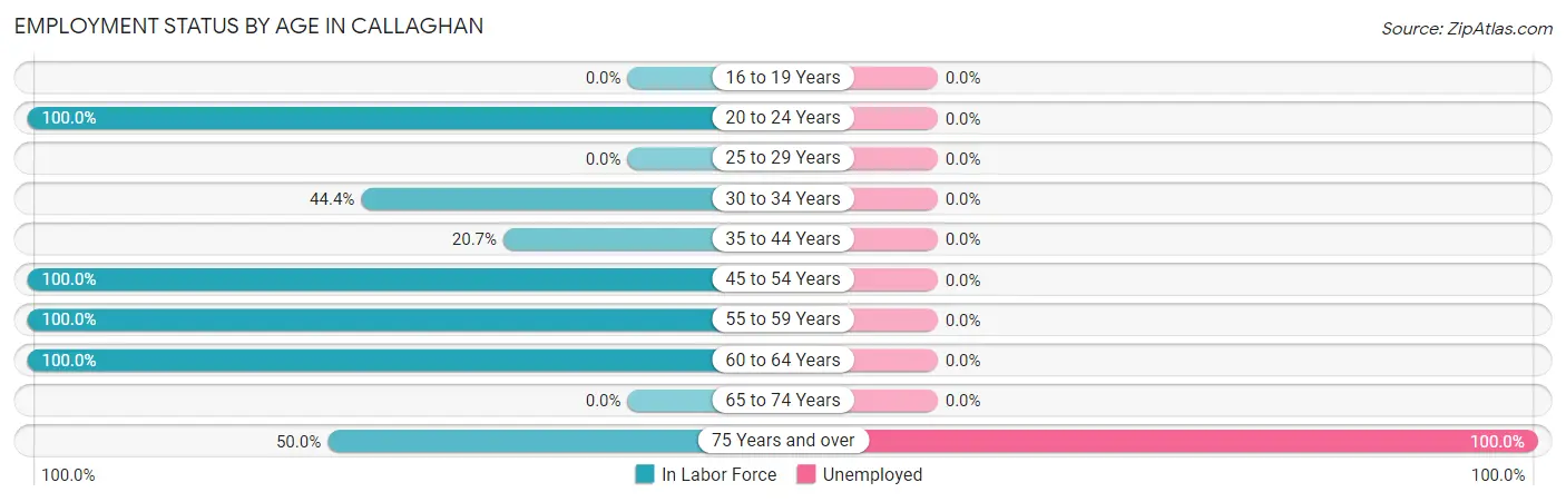 Employment Status by Age in Callaghan