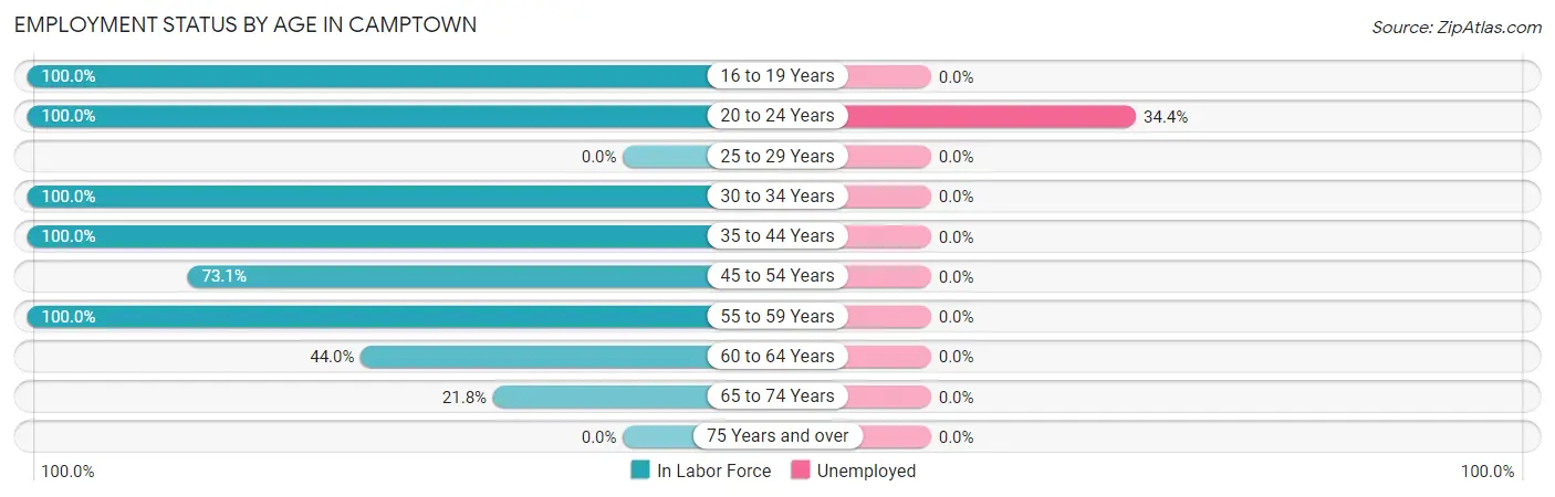 Employment Status by Age in Camptown