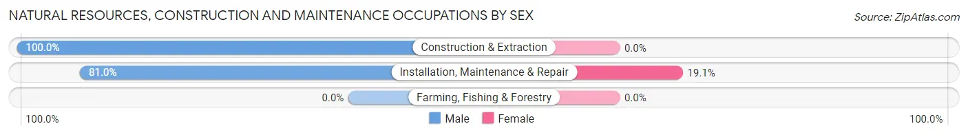 Natural Resources, Construction and Maintenance Occupations by Sex in Cascades