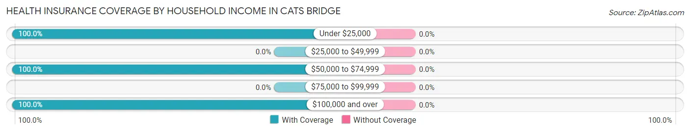 Health Insurance Coverage by Household Income in Cats Bridge