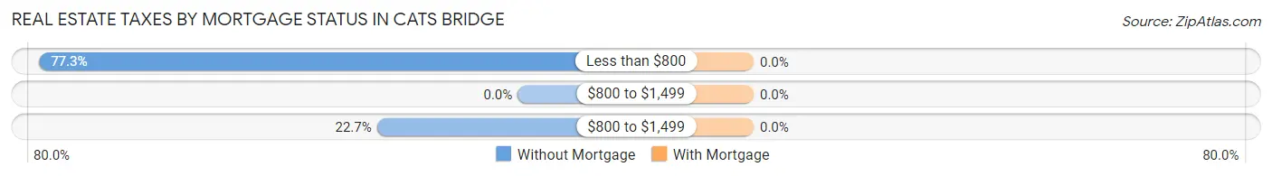 Real Estate Taxes by Mortgage Status in Cats Bridge