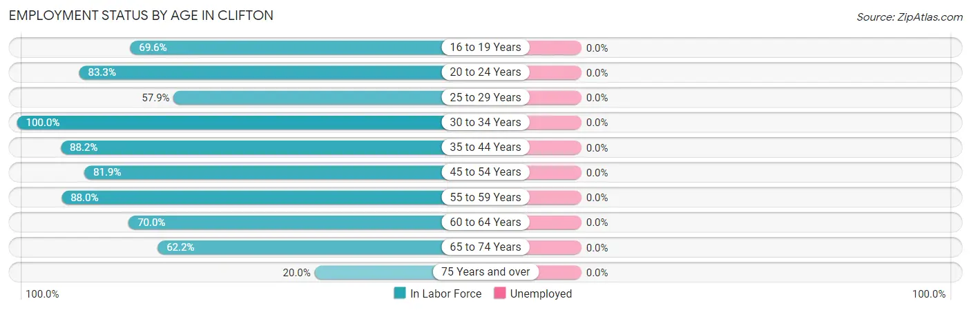 Employment Status by Age in Clifton