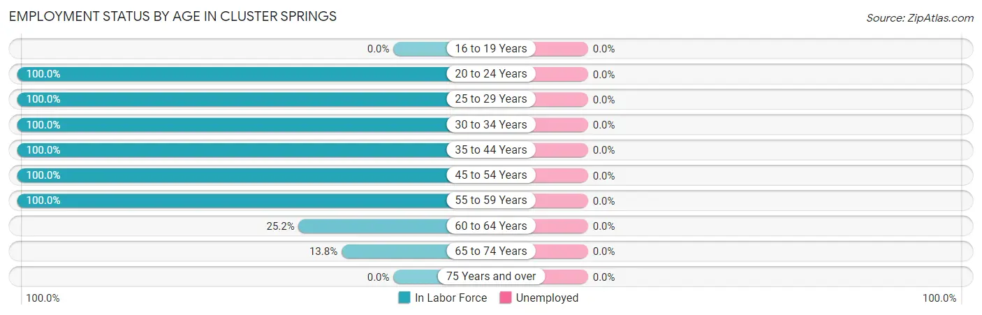 Employment Status by Age in Cluster Springs