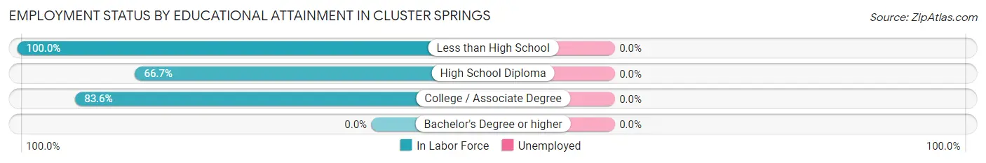 Employment Status by Educational Attainment in Cluster Springs