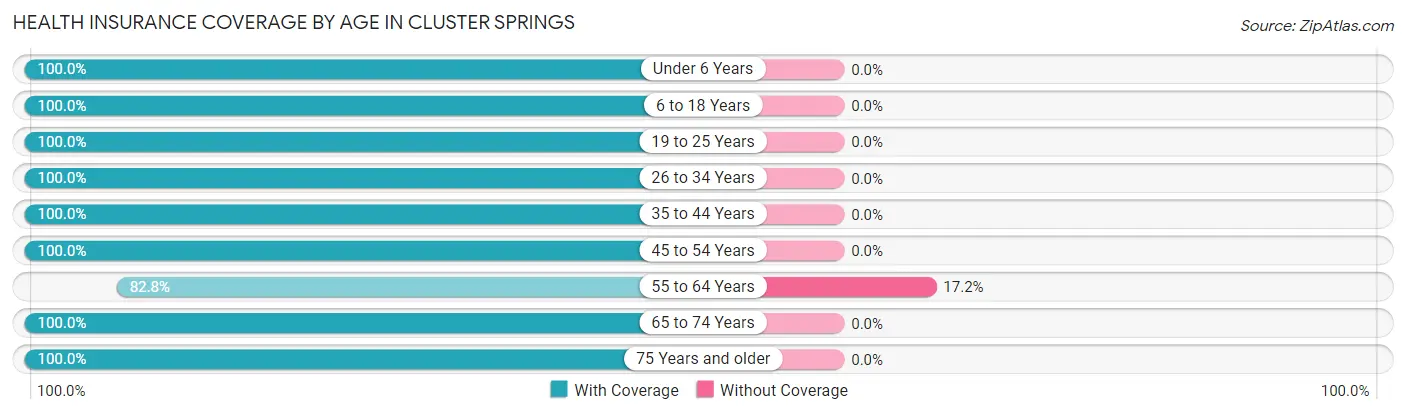 Health Insurance Coverage by Age in Cluster Springs