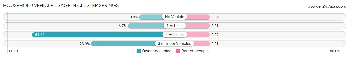 Household Vehicle Usage in Cluster Springs