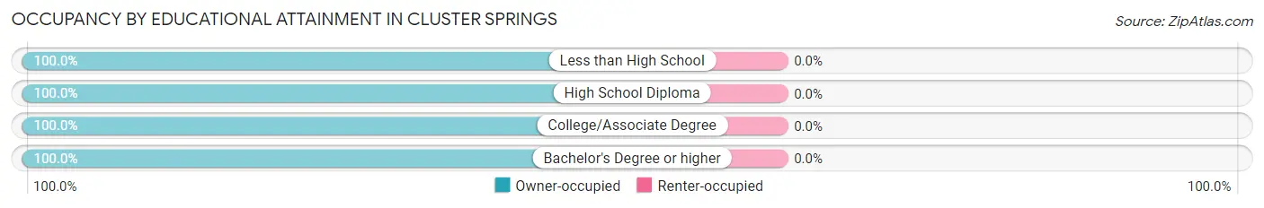 Occupancy by Educational Attainment in Cluster Springs