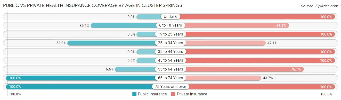 Public vs Private Health Insurance Coverage by Age in Cluster Springs