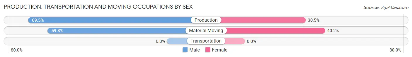 Production, Transportation and Moving Occupations by Sex in County Center
