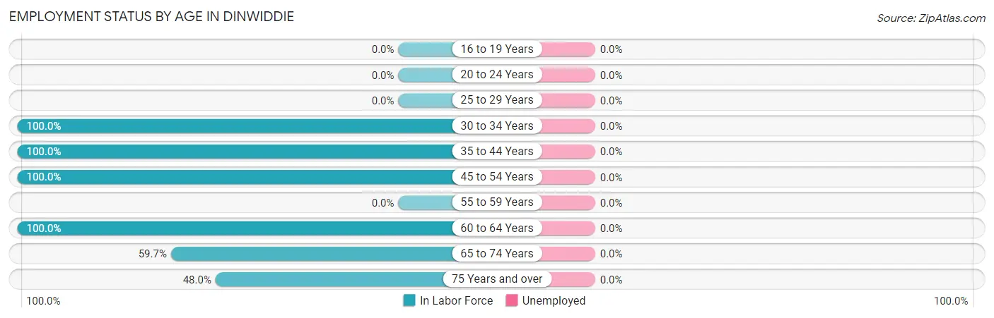 Employment Status by Age in Dinwiddie