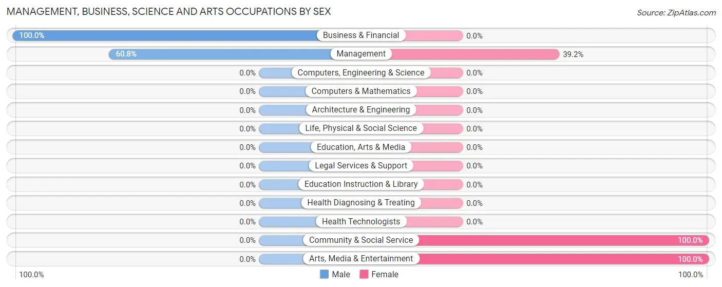 Management, Business, Science and Arts Occupations by Sex in Dinwiddie