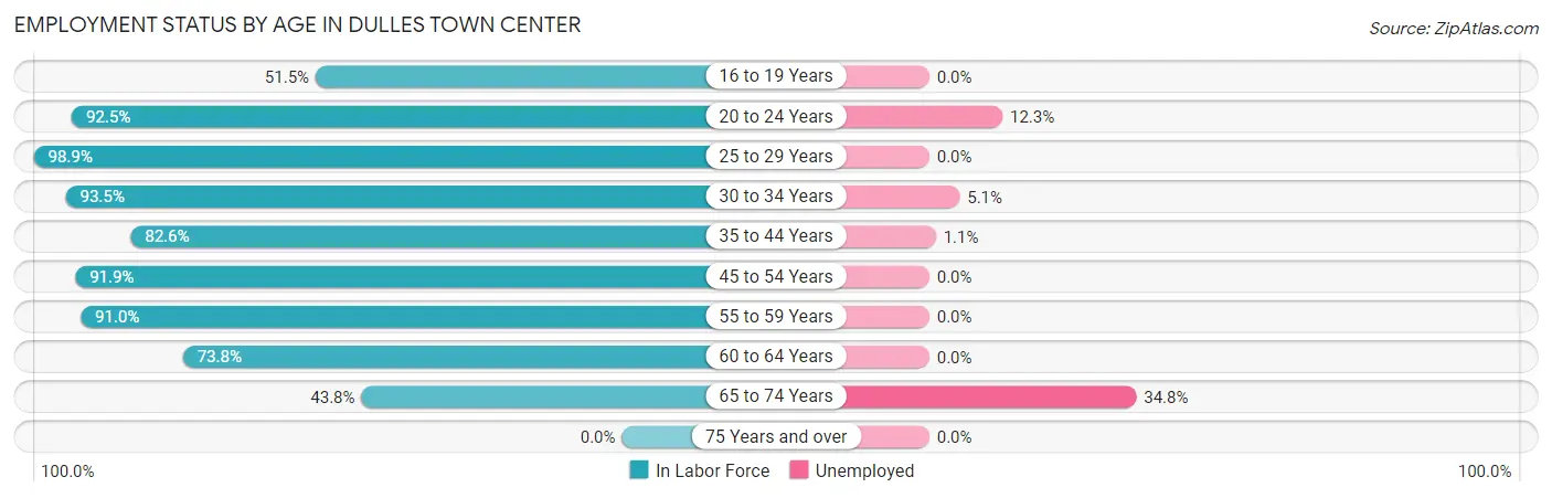 Employment Status by Age in Dulles Town Center