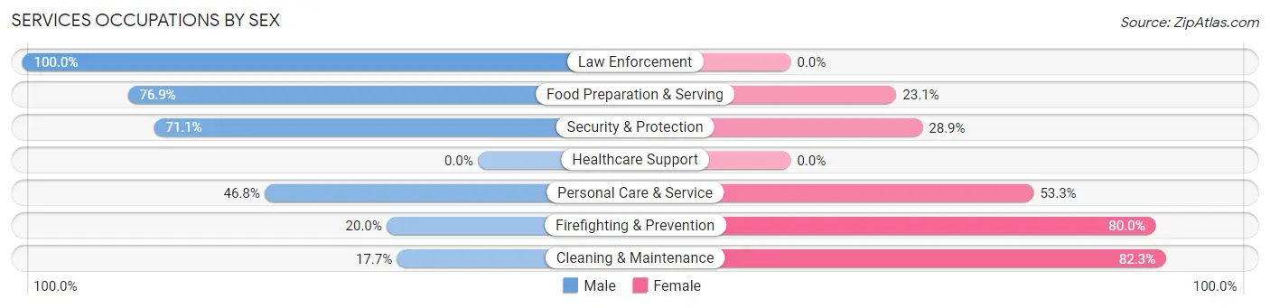 Services Occupations by Sex in Dulles Town Center
