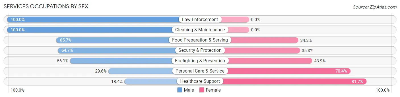 Services Occupations by Sex in Dunn Loring