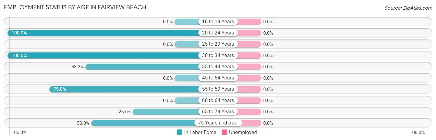 Employment Status by Age in Fairview Beach
