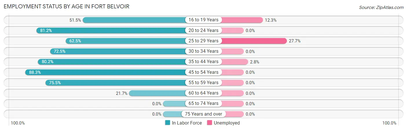 Employment Status by Age in Fort Belvoir