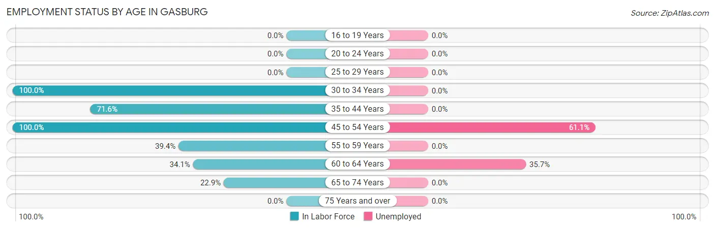 Employment Status by Age in Gasburg