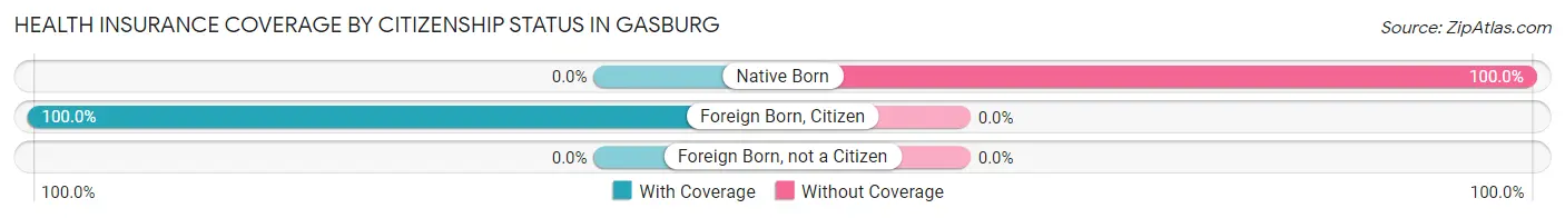 Health Insurance Coverage by Citizenship Status in Gasburg