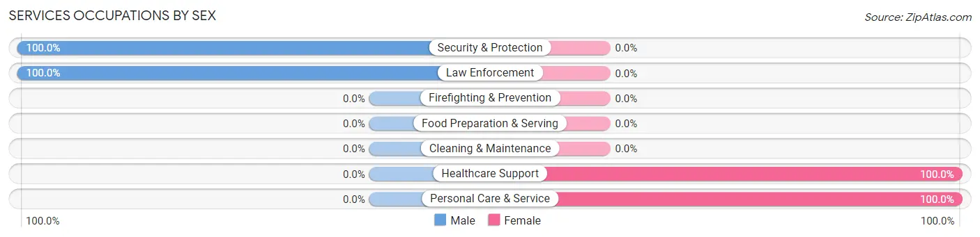 Services Occupations by Sex in Grundy
