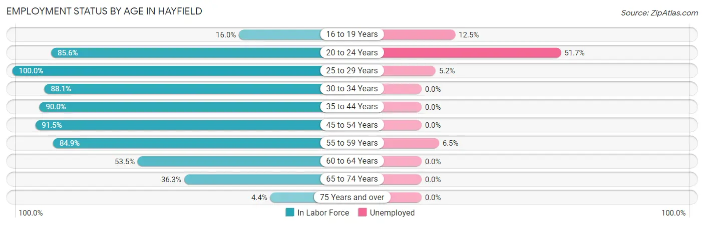 Employment Status by Age in Hayfield