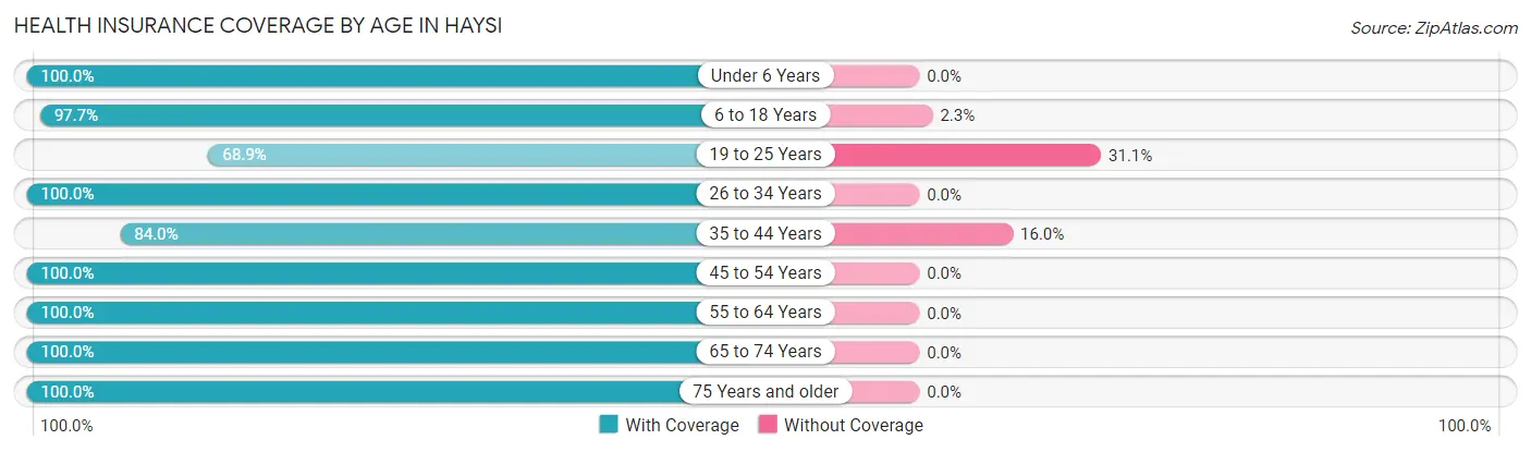 Health Insurance Coverage by Age in Haysi