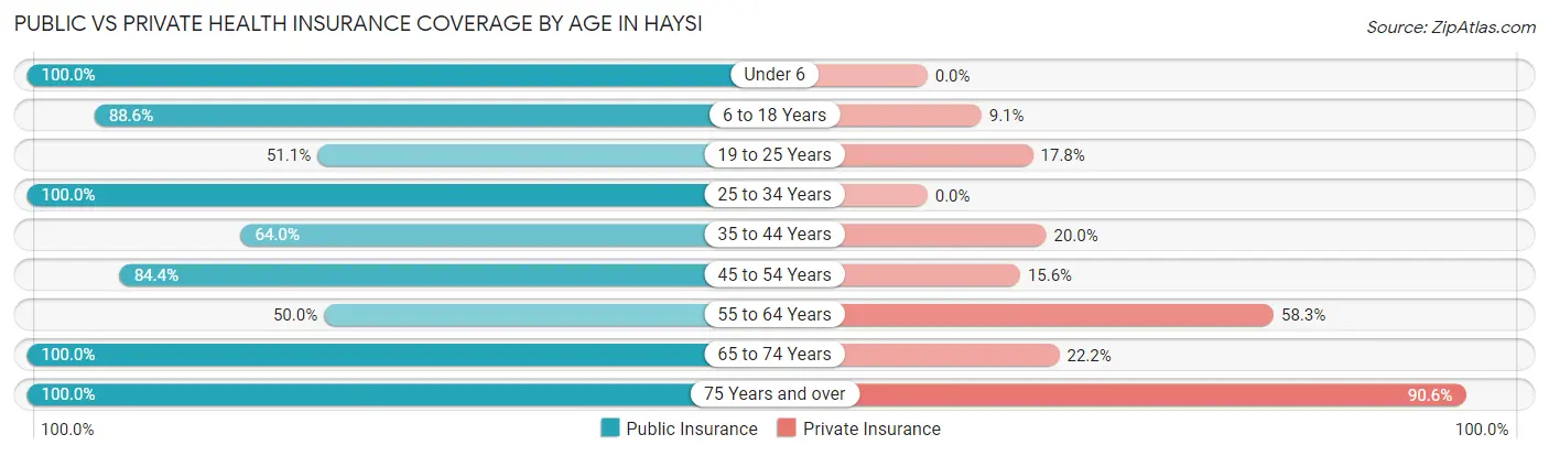 Public vs Private Health Insurance Coverage by Age in Haysi