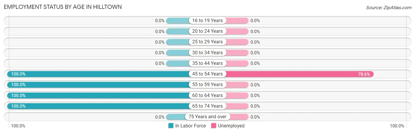Employment Status by Age in Hilltown