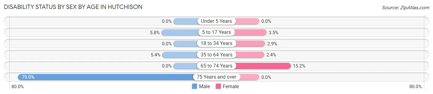 Disability Status by Sex by Age in Hutchison
