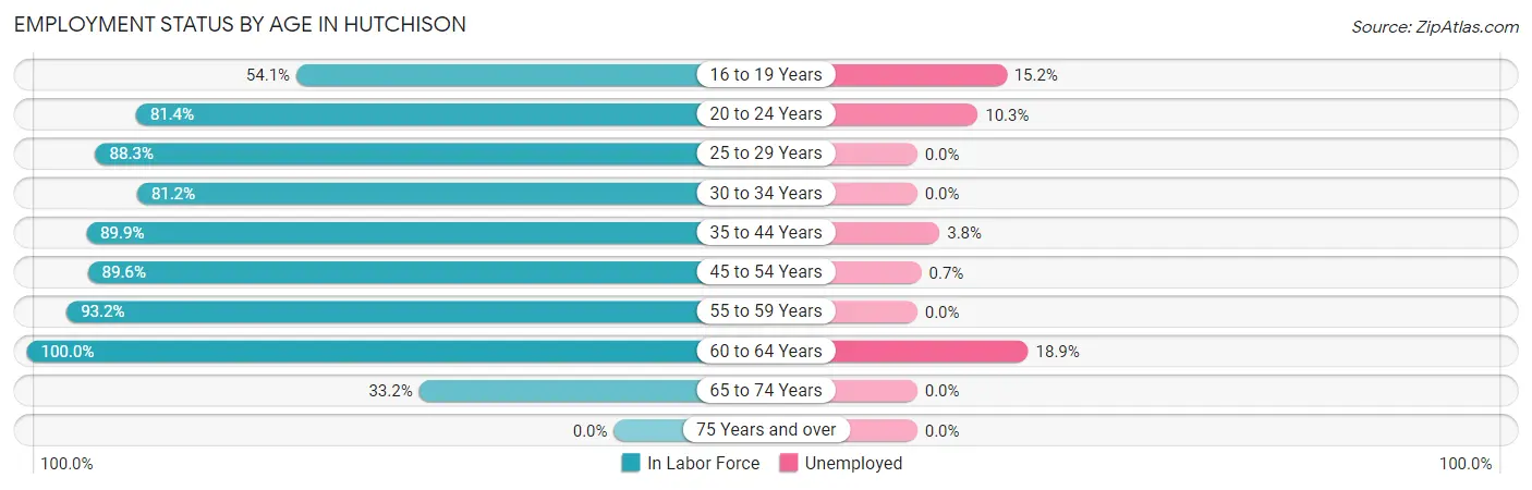 Employment Status by Age in Hutchison