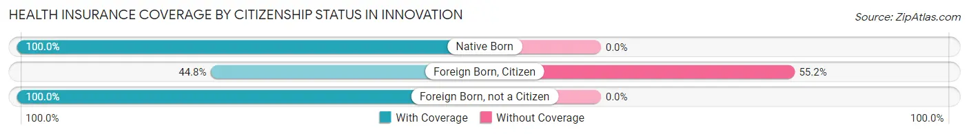 Health Insurance Coverage by Citizenship Status in Innovation