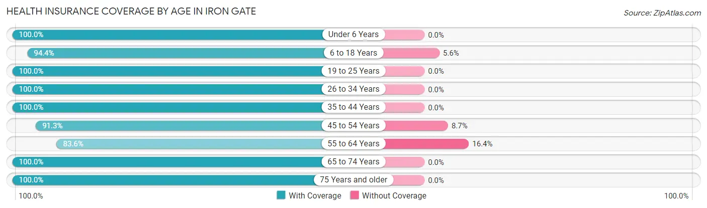 Health Insurance Coverage by Age in Iron Gate