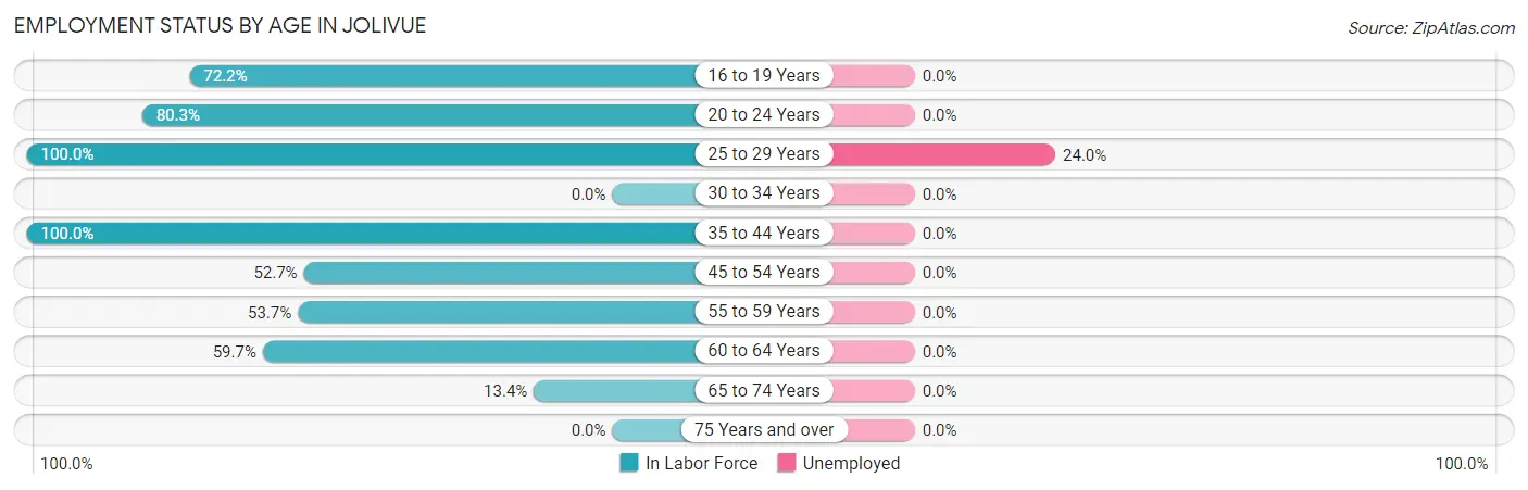 Employment Status by Age in Jolivue