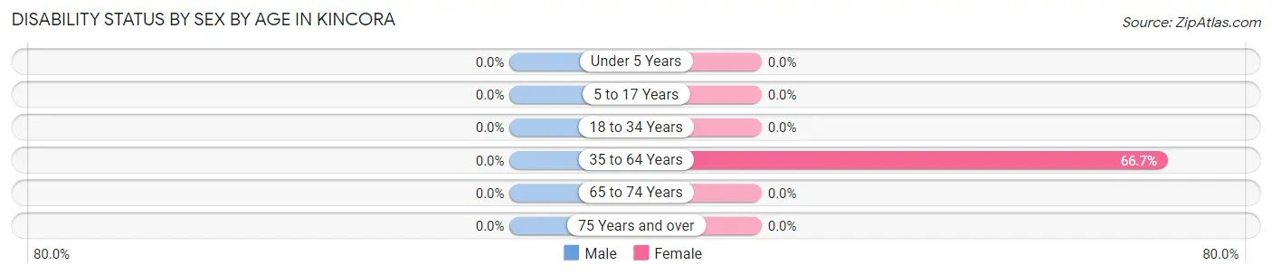 Disability Status by Sex by Age in Kincora