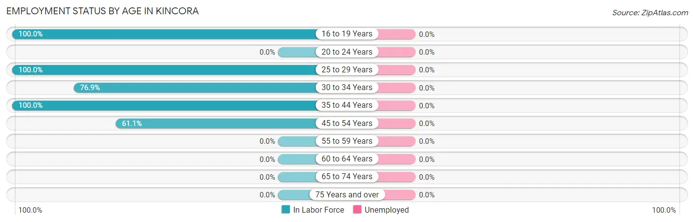 Employment Status by Age in Kincora