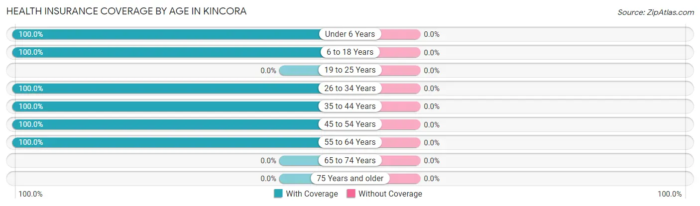 Health Insurance Coverage by Age in Kincora