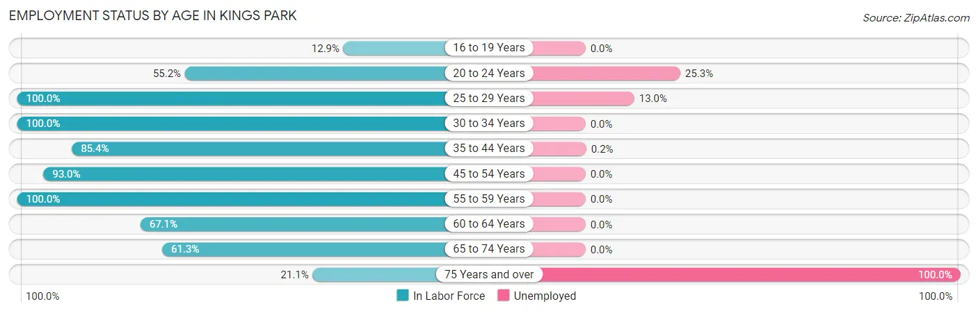 Employment Status by Age in Kings Park