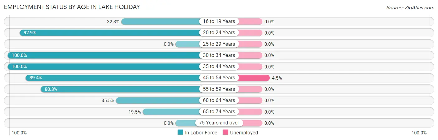 Employment Status by Age in Lake Holiday