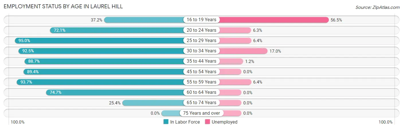 Employment Status by Age in Laurel Hill