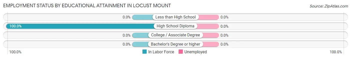 Employment Status by Educational Attainment in Locust Mount