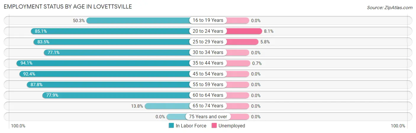 Employment Status by Age in Lovettsville